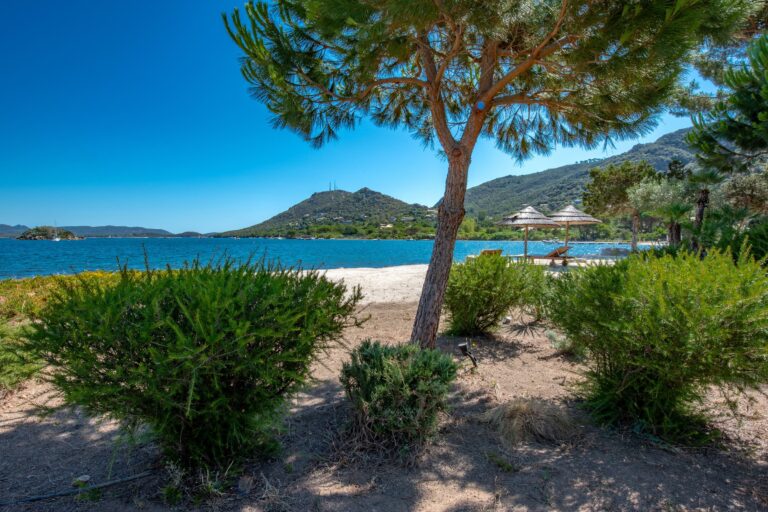 Propriété pieds dans l’eau à vendre à Porto-Vecchio