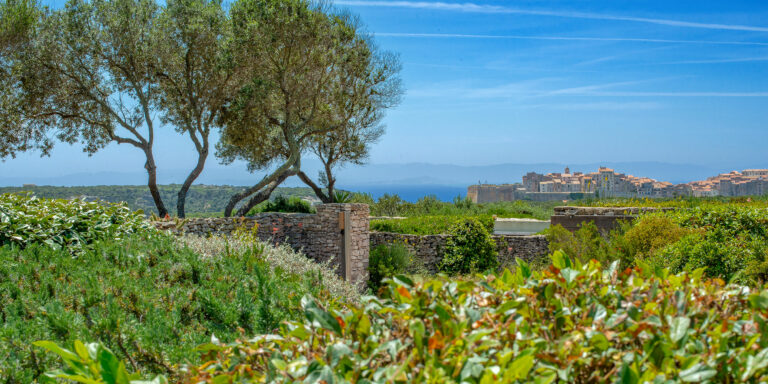 Villa à vendre Bonifacio